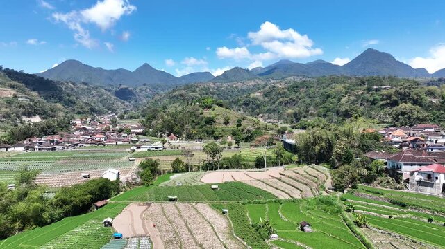 Beautiful Indonesian Rural Landscape with Paddy Fields and Mountains.