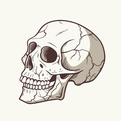 Illustration of a cracked human skull in profile, highlighting detailed fissures and hollow eyes, set against a plain background, conveying an eerie tone.