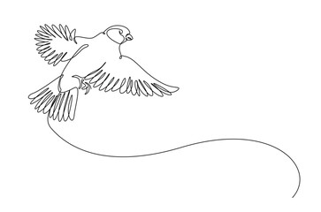 Flying sparrow bird in continuous one line drawing. Single line art illustration of cute sparrow bird. Editable vector.