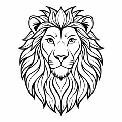 lion vector illustration