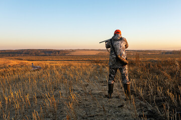 hunter man hunting hare in field at autumn..