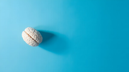 Single white seashell casting a shadow on a vibrant blue background