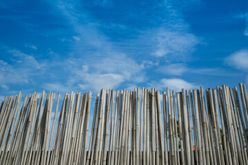 Bamboo fence that made from dried wood with blue sky background.