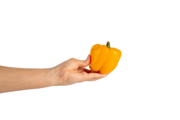 Yellow sweet bell pepper in hand isolated on transparent background