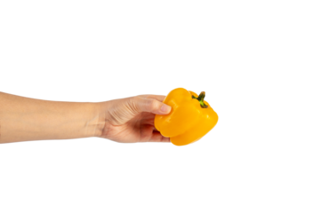 Yellow sweet bell pepper in hand isolated on transparent background