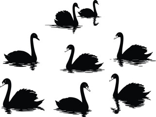 Black swan silhouettes, elegant water reflection, graceful bird poses, minimalistic vector art, nature illustration, wildlife design, floating swans, serene composition, artistic concept