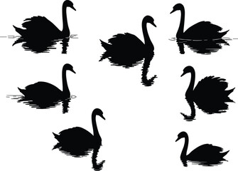 Black swan silhouettes on reflective water, elegant bird poses, mirrored ripples, graceful symmetry, nature tranquility, wildlife vector art, peaceful aquatic scene