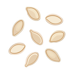 Dry Pumpkin Seed Illustration Isolated on White Background