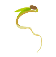Mung Bean Sprouted Seedling Illustration Isolated on White Background