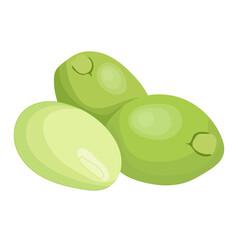 Stink Bean or Parkia Speciosa Vegetable Illustration Isolated on White Background