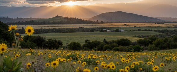 sunset over the river