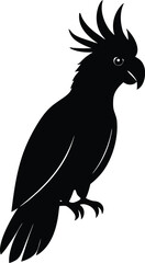 silhouette of a bird on a white background