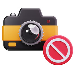 Camera Access Denied 3D