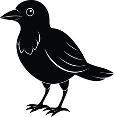 vector illustration of a bird