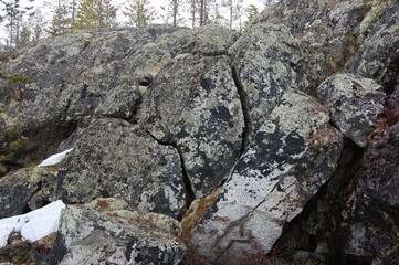 The unique nature of Lapland, moss- and lichen-covered rocks and cliffs of the polar tundra in early spring.
