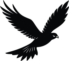 eagle vector illustration