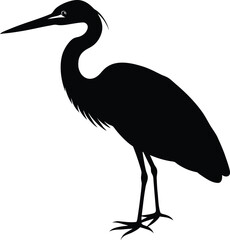 great blue heron ardea cinerea