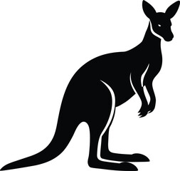 kangaroo vector illustration