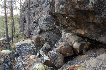 The unique nature of Lapland, moss- and lichen-covered rocks and cliffs of the polar tundra in early spring.