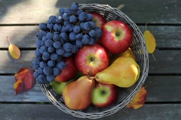 A Woven Basket Overflowing with a Fresh Harvest of Ripe Red Apples Juicy Yellow Pears and Dark Blue Grapes Situated on a Rustic Wooden Table Surrounded by Autumn Leaves