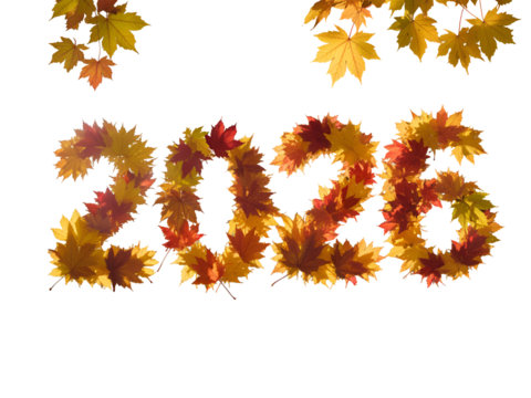 2026 year number formed by vibrant autumn maple leaves with warm fall colors against a dark black background