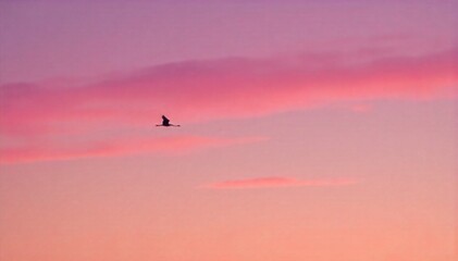 A delicate crane in flight, soaring through a pastel hued sunset sky. A single crane captured in mid flight, its silhouette stark against a soft, pastel sunset sky. The colors are gentle blends of