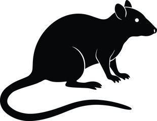 kangaroo vector illustration