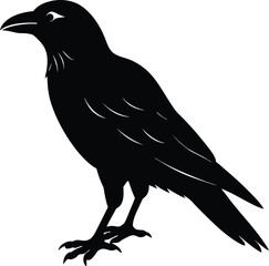 Black raven or crow silhouette vector illustration of a wild bird in flight with wings spread on white