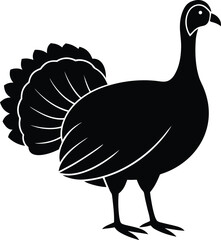 vector illustration of a turkey