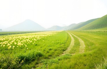 Obraz premium road in the mountains