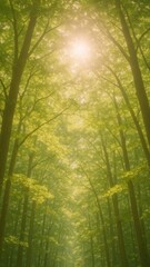 Obraz premium Sunlit forest canopy serenity mobile wallpaper