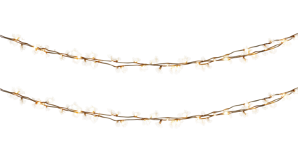 Two strands of warm white string lights isolated on transparent background high resolution PNG clipart LED fairy garland for holiday cards invitations and web