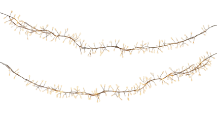 Two strands of warm white string lights isolated on transparent background high resolution PNG clipart LED fairy garland for holiday cards invitations and web