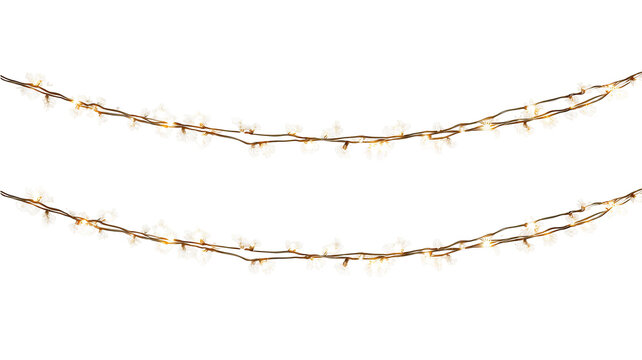 Two strands of warm white string lights isolated on transparent background high resolution PNG clipart LED fairy garland for holiday cards invitations and web - Powered by Adobe