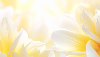 黄色のやさしい雰囲気の花の背景03, A gentle yellow floral background, generated by AI