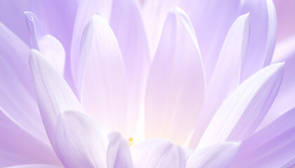 紫色のやさしい雰囲気の花の背景01, A gentle purple floral background, generated by AI