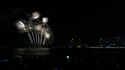 Beautiful colorful fireworks night scene shot at Pattaya International Fireworks Festival and silhouette Group of people tourist shoot and record firework show,