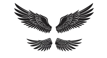 A detailed illustration of black feathered wings spread symmetrically apart