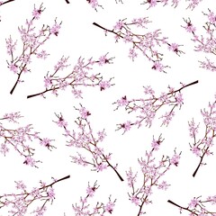 Delicate Cherry Blossom Branches Seamless Pattern on White Background