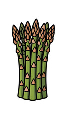 Bundle of Fresh Green Asparagus Spears Illustration, Vibrant and Healthy Vegetable Produce