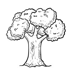 Sketch illustration of a tree