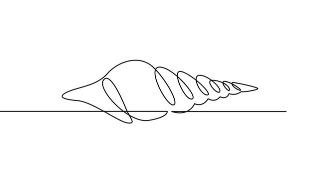 Seashell continuous line drawing vector