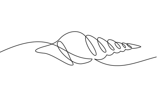 Seashell Continuous Line Drawing Illustration