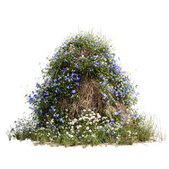 Nest on a tree isolated on transparent background 