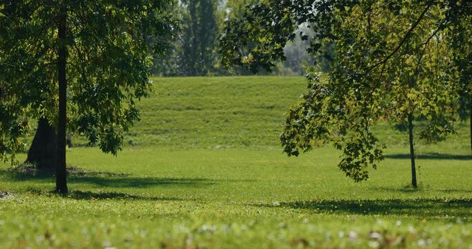 A cyclist on a red bicycle rides along a grassy path surrounded by green trees and sunlight at Jarun Lake in Zagreb on a warm day.