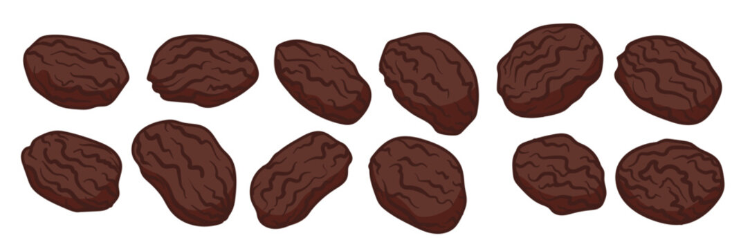 Swollen Raisins Vector Raisins Images – Browse 464,837 Stock Photos, Vectors, and Video ...
