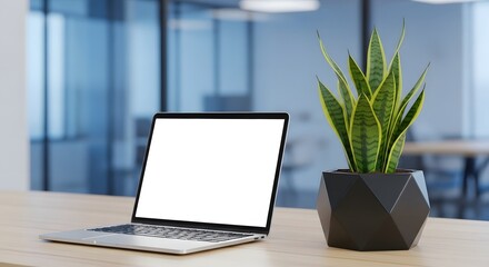A clean and modern office interior featuring a laptop with a blank white screen for mockup purposes, next to a potted snake plant on a wooden desk. The background is a blurred office