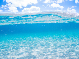 Fototapeta premium 安室島の白砂ビーチの半水面撮影。観光客やパラソル、テントが見える。美しいサンゴ礁と熱帯魚の群れ。 安室島沖縄県 島尻郡慶良間諸島座間味島-2025 サンゴの産卵があり卵が漂う。沖縄本島から40km西方の諸島。30以上の島嶼群全体が国立公園に指定。珊瑚礁の青い海と白い砂浜は世界屈指の美。貴重な動植物が多数生息。 