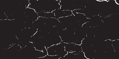 White scratches on black surface. Deep linear cuts and old traces scraping dirty glass abstract parasites and bacteria magnified by vector microscope.