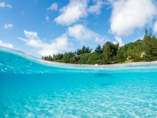 Fototapeta premium 安室島の白砂ビーチの半水面撮影。観光客やパラソル、テントが見える。美しいサンゴ礁と熱帯魚の群れ。 安室島沖縄県 島尻郡慶良間諸島座間味島-2025 サンゴの産卵があり卵が漂う。沖縄本島から40km西方の諸島。30以上の島嶼群全体が国立公園に指定。珊瑚礁の青い海と白い砂浜は世界屈指の美。貴重な動植物が多数生息。 